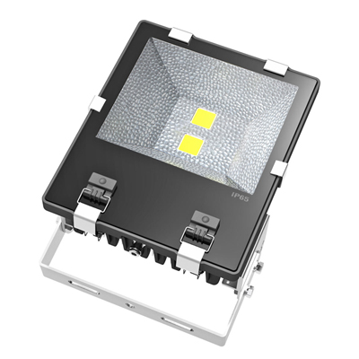 CREE-XTE/Bridgelux45mil Fins LED flood 100W