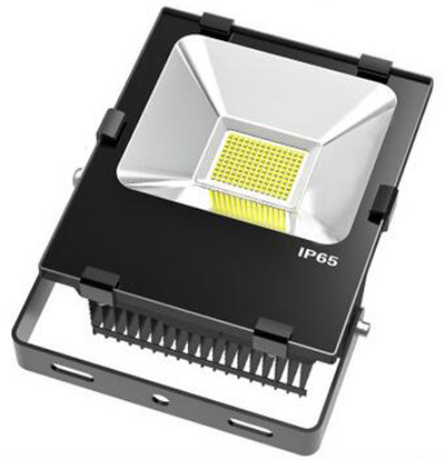 CREE-XTE/Bridgelux45mil Fins LED flood 50W
